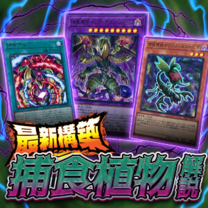 【遊戯王OCG】2026年捕食植物入門書【最新構築】