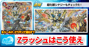 　【王道篇は】使いこなせZラッシュ！  ハイパーモード解放マニュアル【2年前】