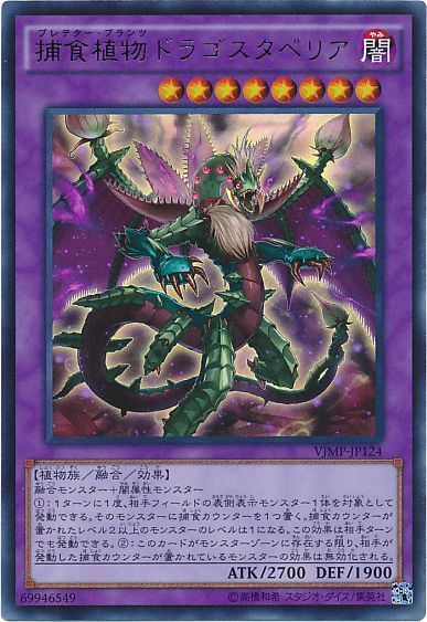 《捕食植物ドラゴスタペリア》