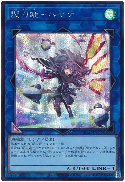 即日発送！高レアリティ　閃刀姫デッキ　増援　エンゲージ　シズク　レイ　ロゼ絵違い Amazon.co.jp: 閃刀姫 構築済みデッキ 二重スリーブ 閃刀姫